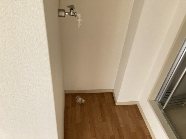 ヴィレッジアルカディアのその他
