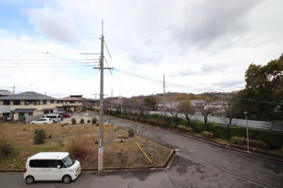 【展望】 | パインアベニュー