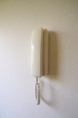 【セキュリティ】 | シルバーヴェリー金剛 | インターホン