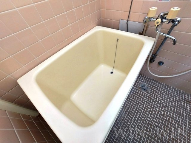 シャトー道の浴室