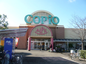 スーパーアルプス城山店まで950m