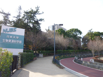 日本大学湘南キャンパスまで650ｍ