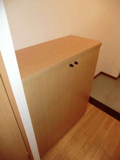 大阪市西淀川区御幣島６丁目の賃貸マンションのその他|シューズBOX