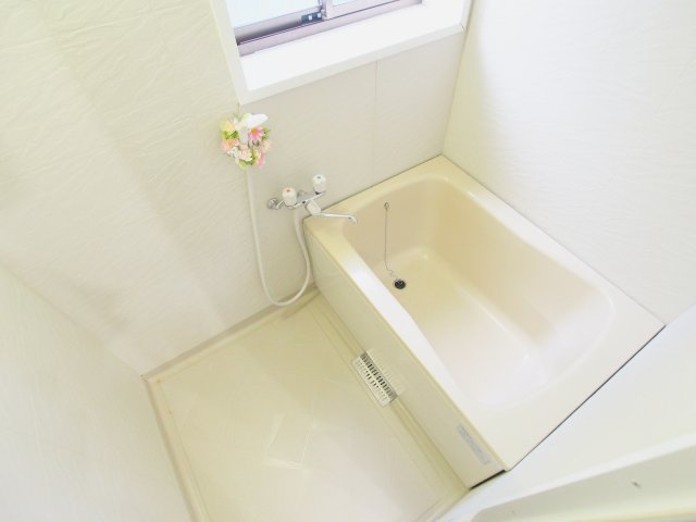 天畠貸家の玄関