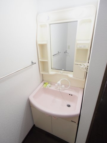 天畠貸家の洗面所