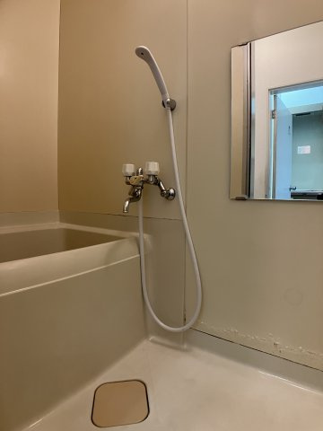 SSハイツ市川の洗面所