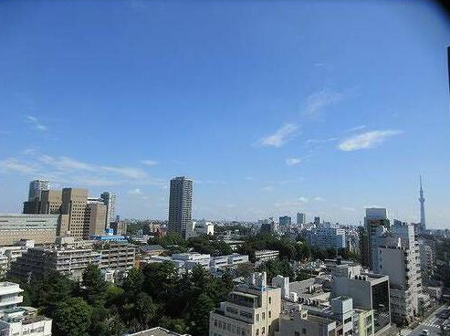 【展望】