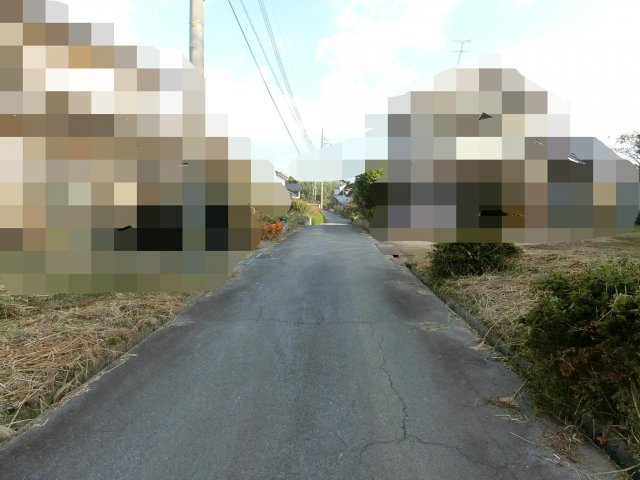 大山町西坪売り土地の前面道路含む現地写真