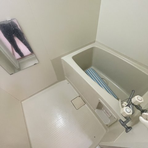 コーポ北栄の浴室
