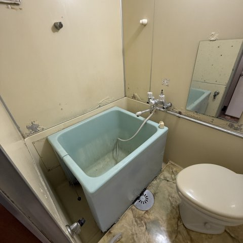 グリーンハイツＥＭＵの浴室