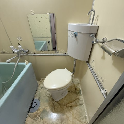 グリーンハイツＥＭＵのトイレ