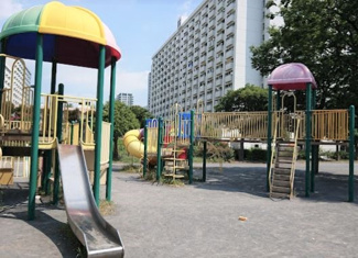 【周辺】 | 緑道公園