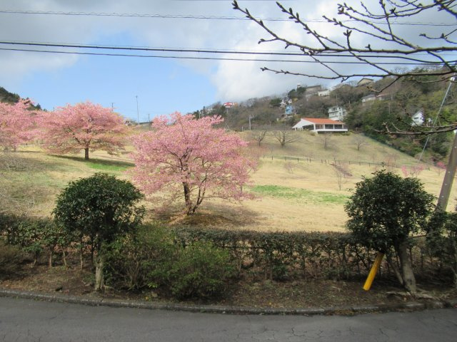 エンゼルフォレスト熱海自然郷③