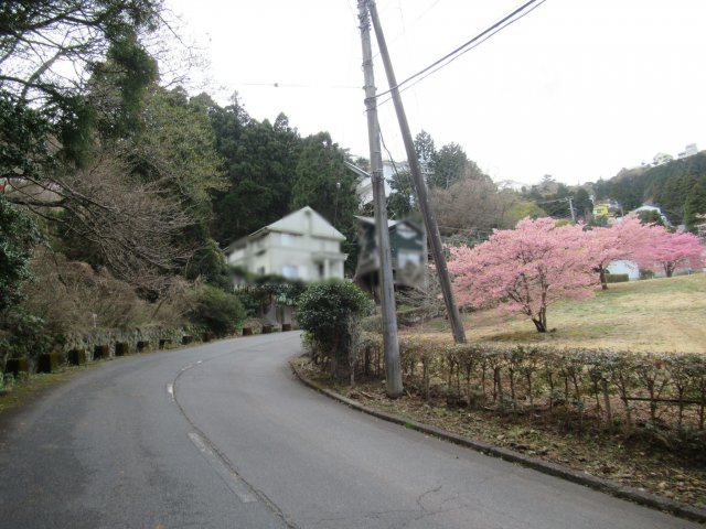 エンゼルフォレスト熱海自然郷③の前面道路含む現地写真|北側より