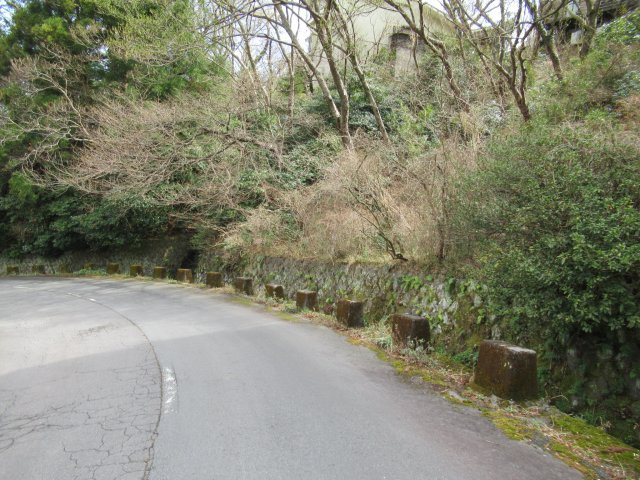 エンゼルフォレスト熱海自然郷③の前面道路含む現地写真|北側より