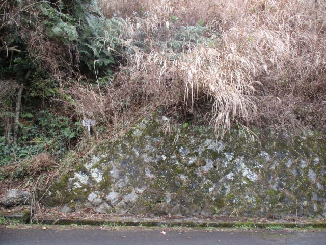 エンゼルフォレスト熱海自然郷④の外観