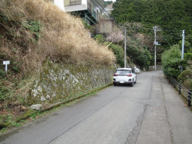 エンゼルフォレスト熱海自然郷④の周辺|東側より