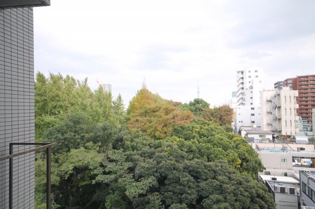【展望】