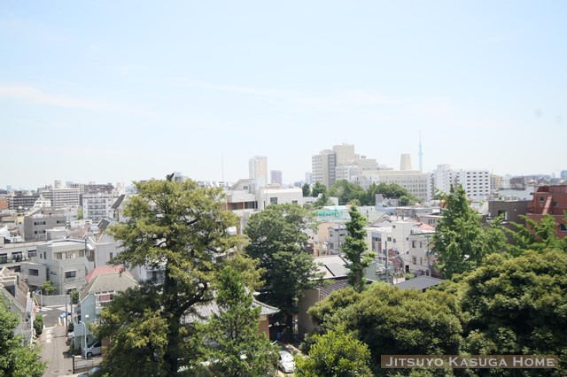 【展望】