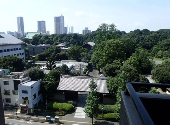【展望】