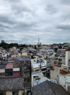 【展望】