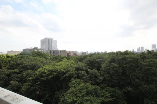 【展望】