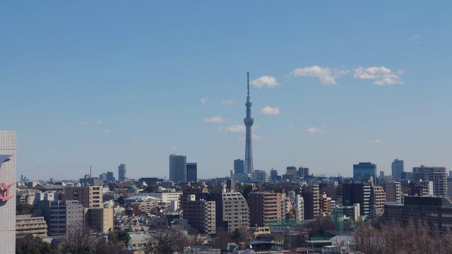 【展望】