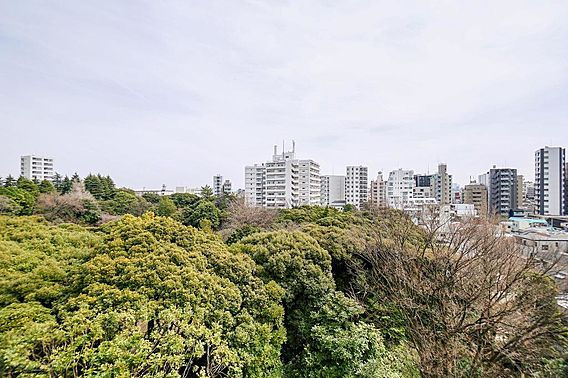 【展望】