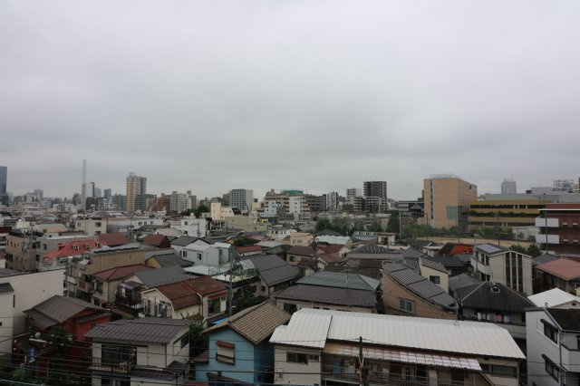 【展望】