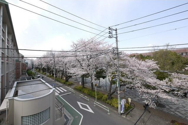 【展望】