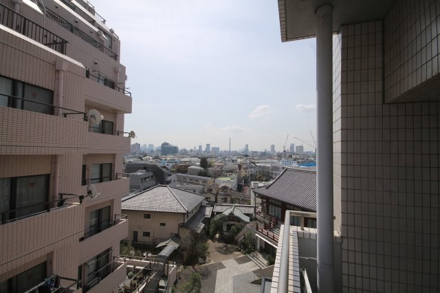 【展望】