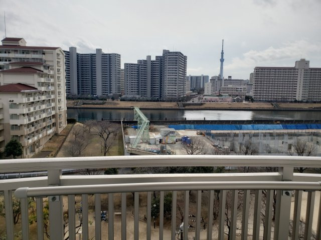 スカイツリーが正面に！