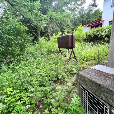 室蘭市港北町4丁目18-13戸建の庭
