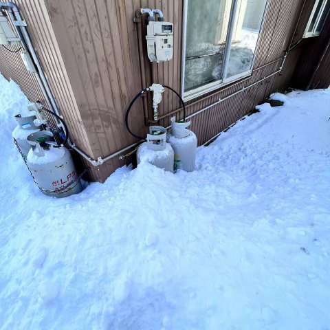 柏木町9-17アパートの庭