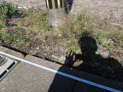 【外観】 | 菊池郡菊陽町久保田売地