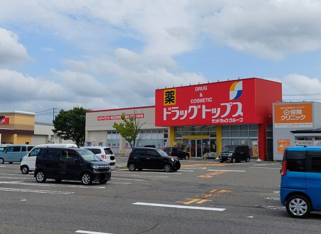 アイビーハウス白銀の周辺|ドラッグトップス河渡店　徒歩約16分（1,264m)