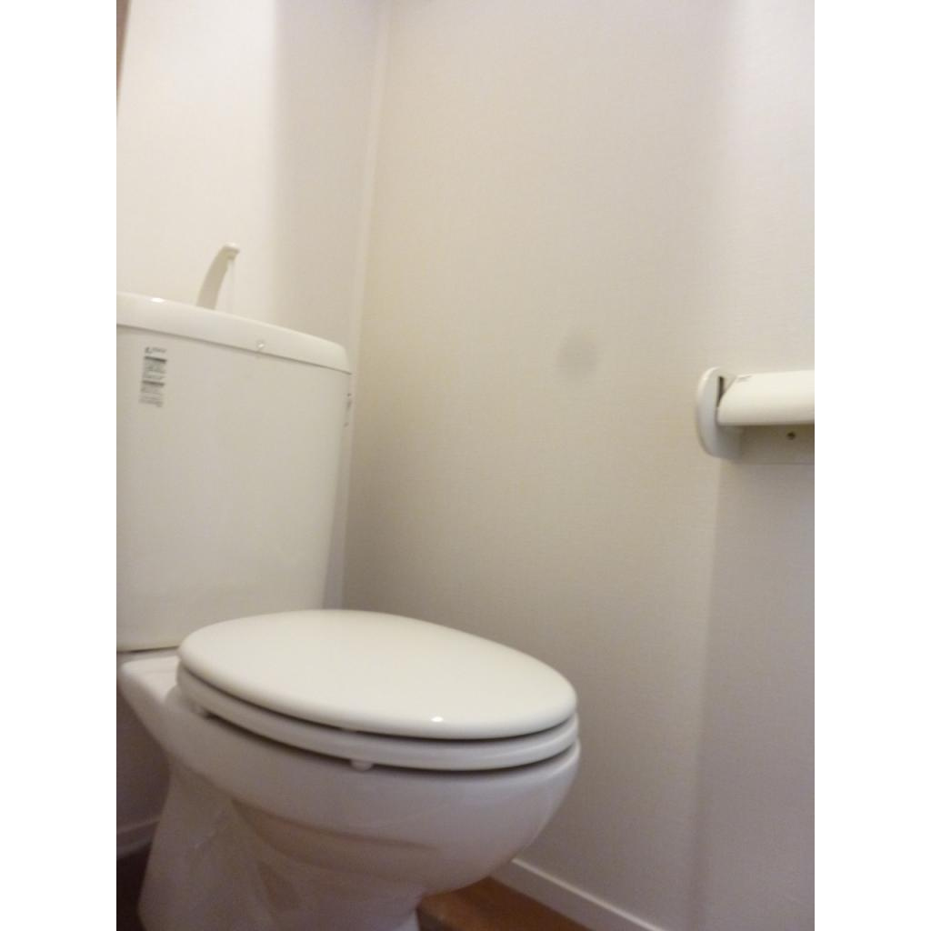 ヴィルドミールのトイレ