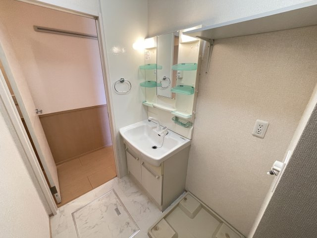 グリーンピアBの洗面所