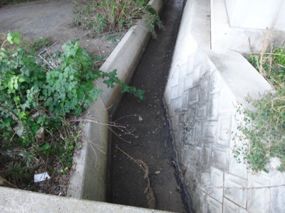 【周辺】 | 大津町室売地１２６坪