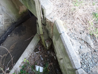 【周辺】 | 大津町室売地１２６坪