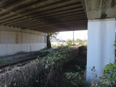 【外観】 | 大津町室売地１２６坪