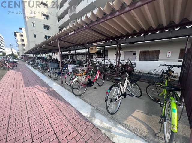 現地のご紹介