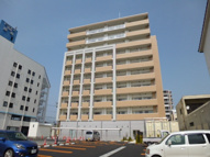 ケイマイティの画像