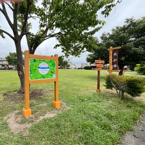 ハイデンス5の展望