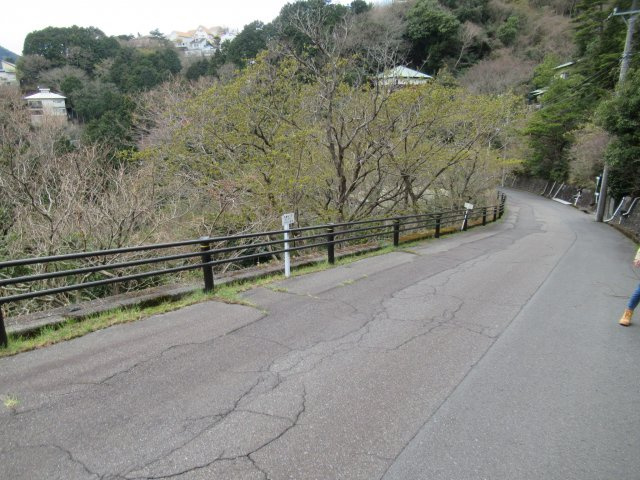 エンゼルフォレスト熱海自然郷⑦の前面道路含む現地写真|北東より