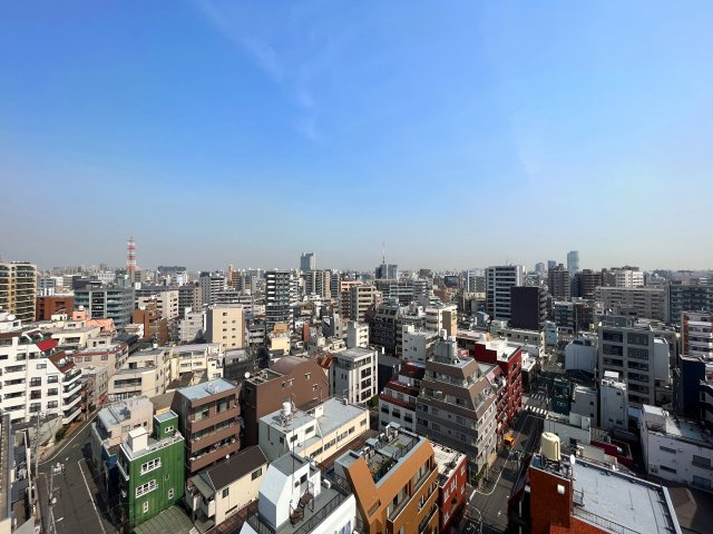 【展望】 | アデニウム浅草