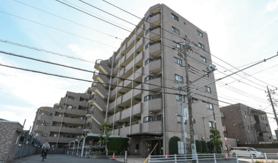 ライオンズガーデン航空公園