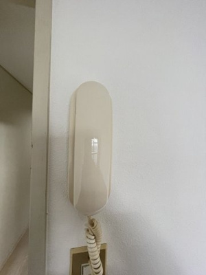 【セキュリティ】 | 大隅芙蓉ハイツ | 受話器付きインターホンです