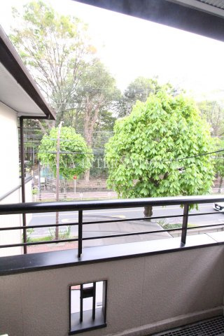 コモドＪ＆Ｈの展望