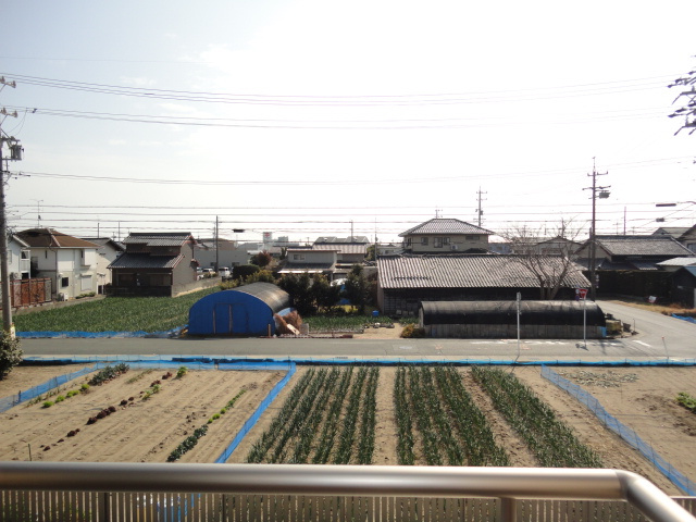 プロシードの展望